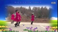 代萍广场舞花儿妹妹（编舞代萍）双人对跳。正反面分解_标清