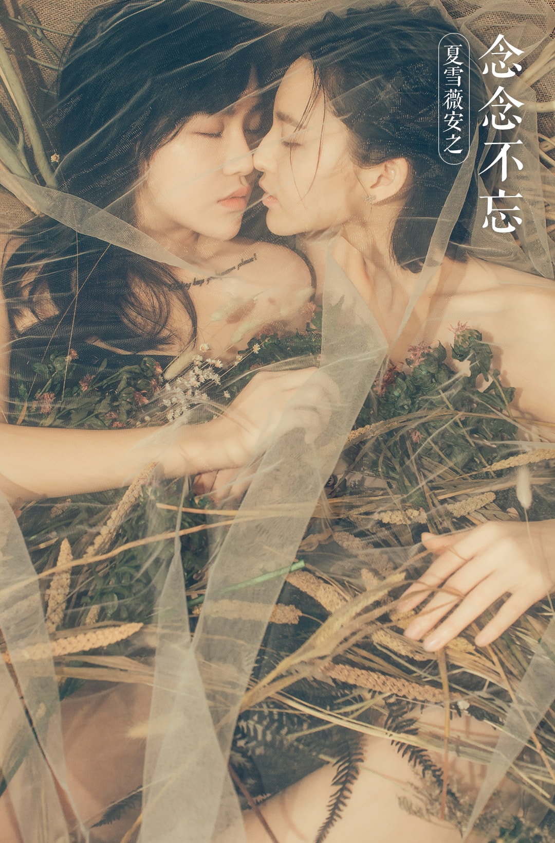 http://www.mshishang.net/pics/default/download/6f645cc843de653786c035bb5cf5a282.jpg