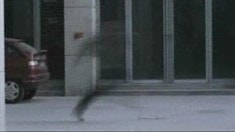 预告片1