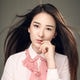 龙梅子