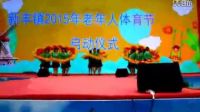 大丰万众村扇子舞中国美在荷兰花海表演_标清_flv_480x320_极高质量