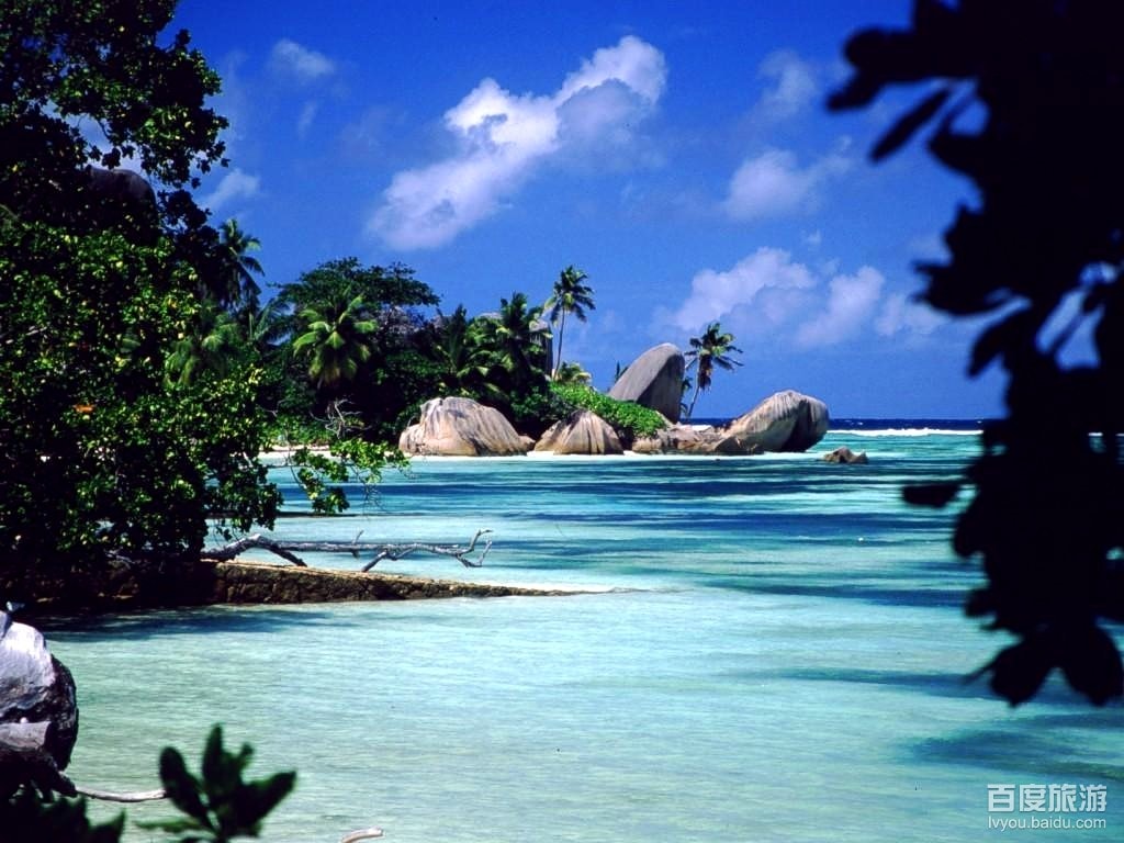 http://www.mshishang.net/pics/default/download/719b3527c637a4703cb83b12989252ad.jpg