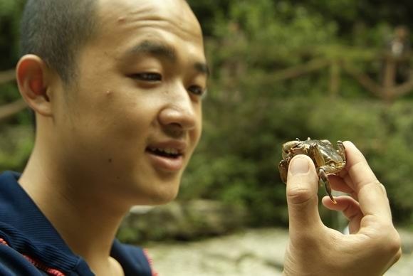 http://www.mshishang.net/pics/default/download/72f99bf76e894d0a18f3f937d7e9580a.jpg