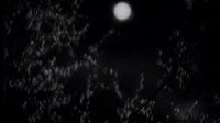 神秘的旅伴-插曲“缅桂花开十里香”音乐