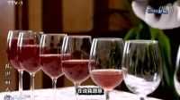乱世丽人行 韩疏影与何楚天 （视频剪辑与音频MP3合并））……(有背景音乐字幕）