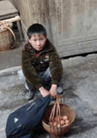 何静