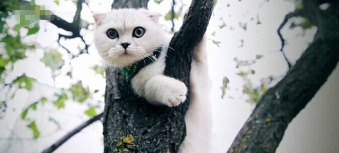 http://www.mshishang.net/pics/default/download/7877aabc04605241d954b48b6df4d8bd.jpg