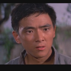 王羽