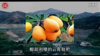 福建省漳州市云霄县峰头村生态宣传视频——福州大学赴云霄县“美丽乡村”发展帮扶实践队宣