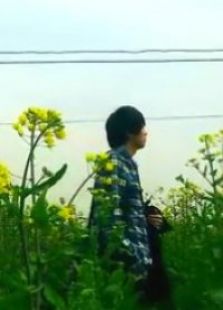 莫奈花园