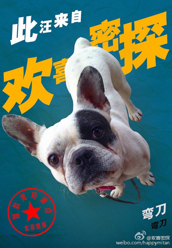 http://www.mshishang.net/pics/default/download/82f62721e139a1daa35510d8bd41202a.jpg