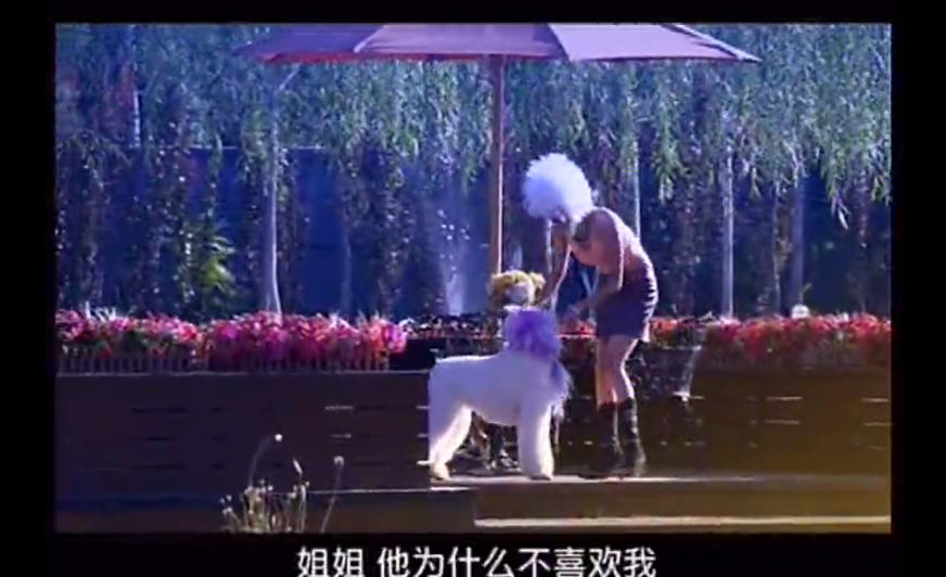 http://www.mshishang.net/pics/default/download/83136c53ec6a09999e8113aa5a0a1f9b.jpg