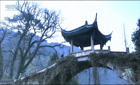http://www.mshishang.net/pics/default/download/83acce6f53a1098270098cd583b80d45.jpg