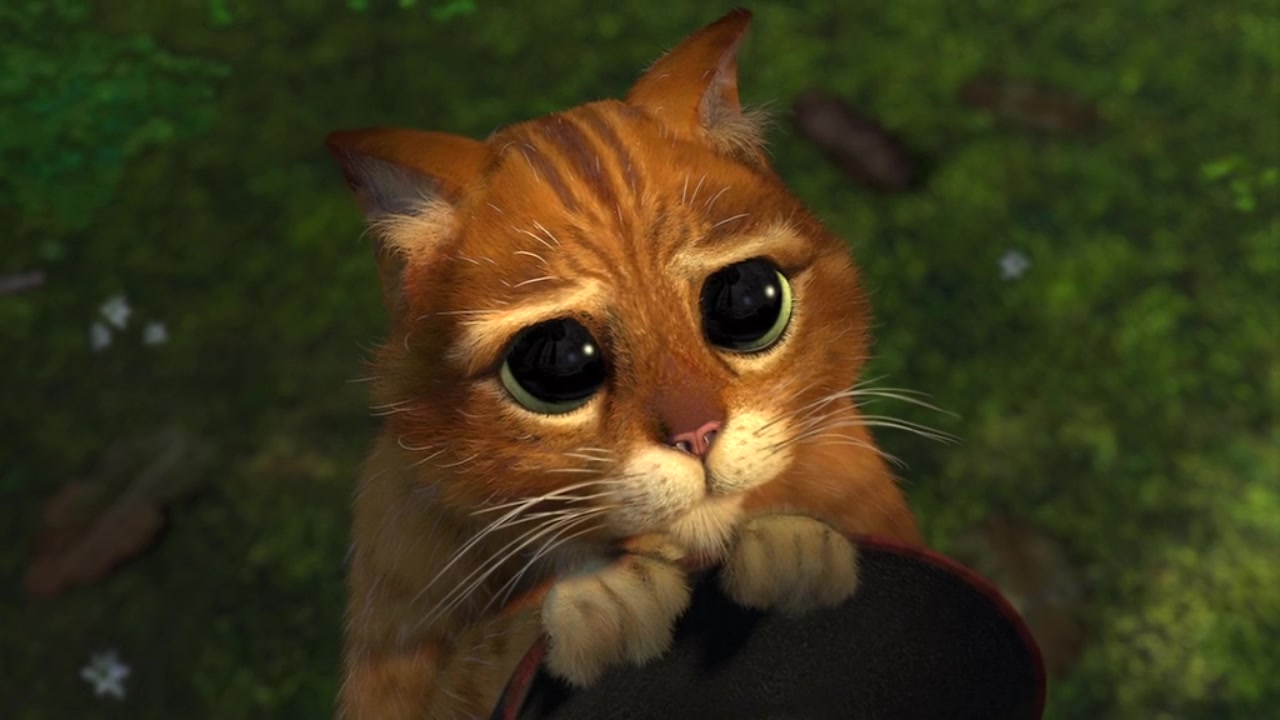http://www.mshishang.net/pics/default/download/83d58d33a1b3f139bce8f09a9bf904a6.jpg