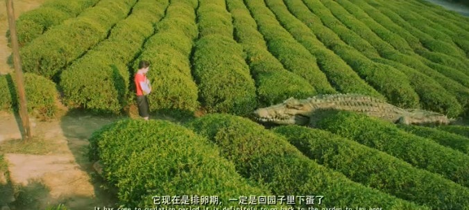 http://www.mshishang.net/pics/default/download/8435c3e2358b476156180c61a2868cf6.jpg