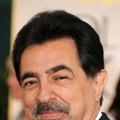 乔·曼特纳Joe Mantegna