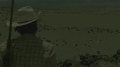 预告片2