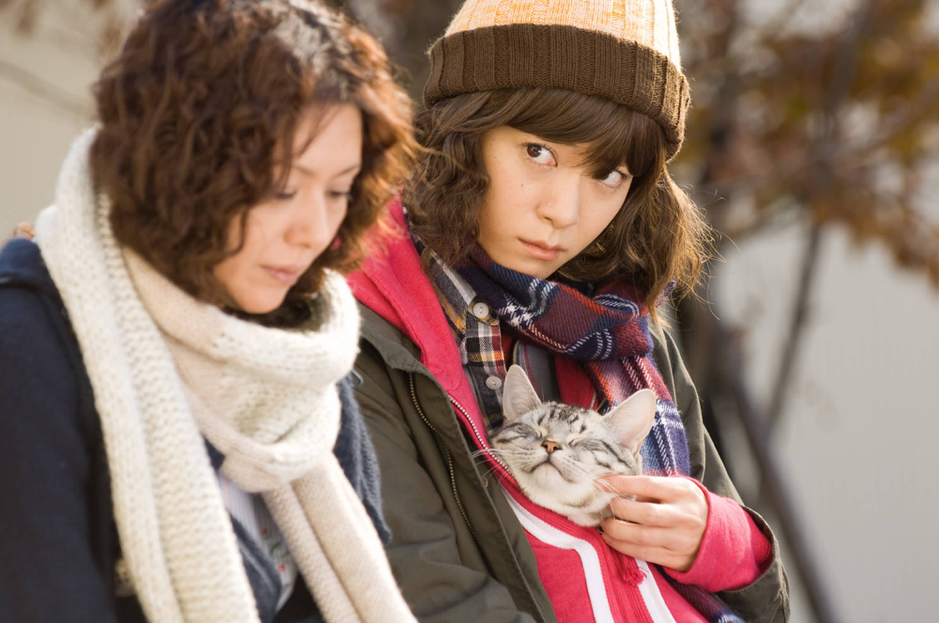 http://www.mshishang.net/pics/default/download/8744df4f2d6915a4f0641bf46fb94dd7.jpg