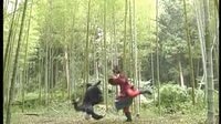 包青天之孪生劫 展昭剪辑——对决