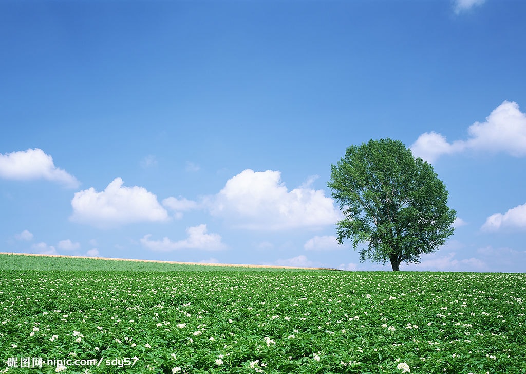 http://www.mshishang.net/pics/default/download/87a1e2c758c3befef7e60cf25ca52aa1.jpg