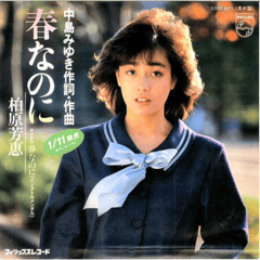 柏原芳恵