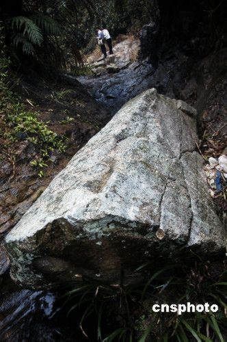 http://www.mshishang.net/pics/default/download/8a48e63755a2f31d278aac2b3b8ee160.jpg