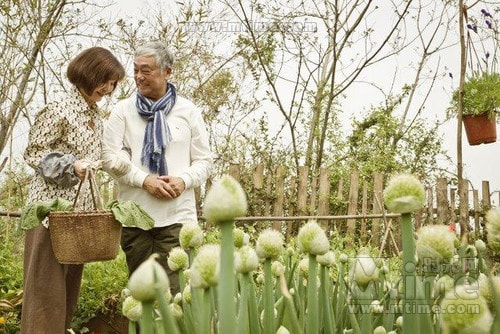 http://www.mshishang.net/pics/default/download/8b2da8d833617e3fbb082ecf1e36e785.jpg