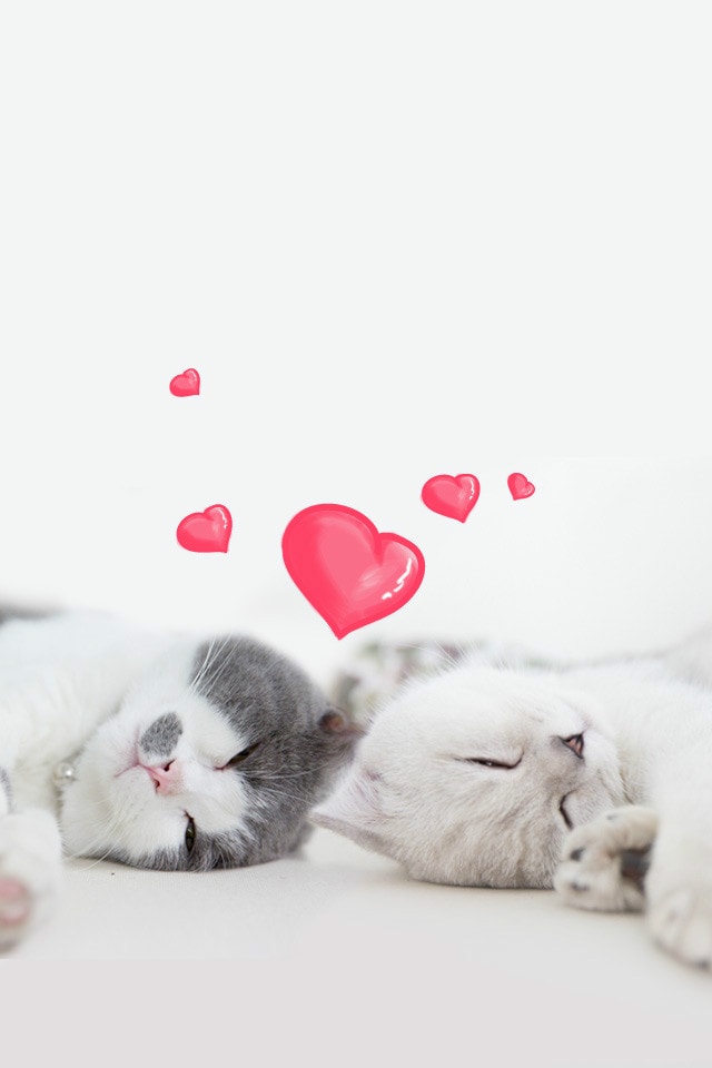 http://www.mshishang.net/pics/default/download/8e019e7cca66e84e5602f033ba780288.jpg
