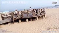 唐伟敏训犬学员的布卡7个月大生活习惯训练应用视频