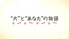 预告片