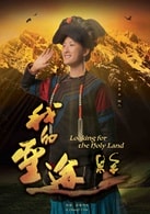 陶多多