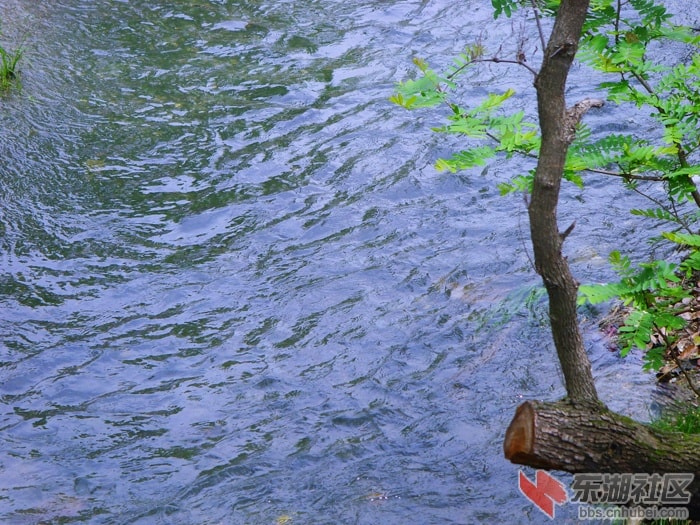 http://www.mshishang.net/pics/default/download/9b176ae29c78ce4f366c5ed779a87f4d.jpg