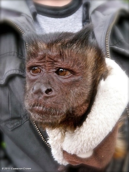 http://www.mshishang.net/pics/default/download/9b2e737444cdc02938e127afb16bdb7b.jpg
