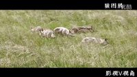 电影元素 《狼图腾》人如何诱捕狼