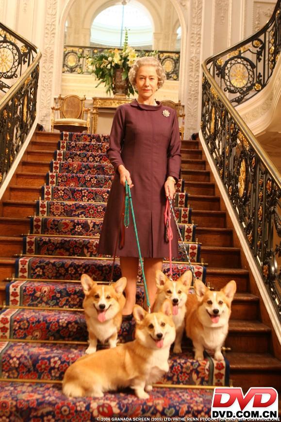 http://www.mshishang.net/pics/default/download/9b83169a0641907b8cef68a87c0a60b4.jpg