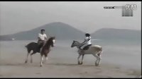 一诺倾情第9集海边听螺花絮