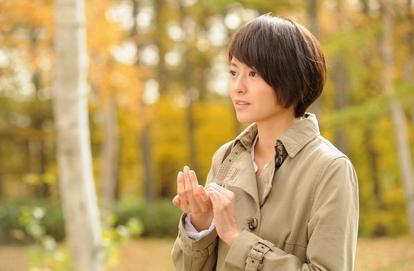 http://www.mshishang.net/pics/default/download/9dcf994df0773962e8b195404e2866f8.jpg