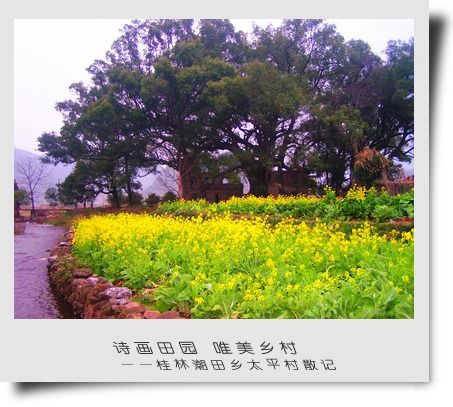 http://www.mshishang.net/pics/default/download/9f814b90fe812f182866b3f14f38c798.jpg