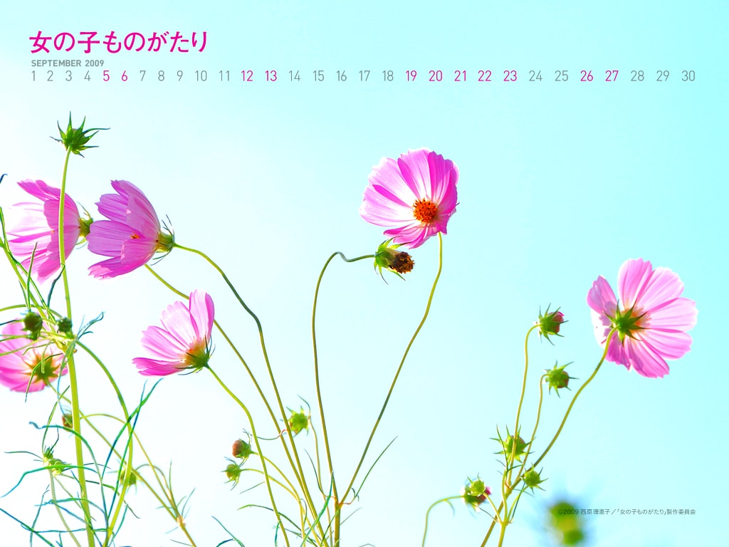 http://www.mshishang.net/pics/default/download/a0e3884b7f9edc3bb7e348d1bd8bbdf3.jpg