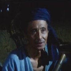 王世俊