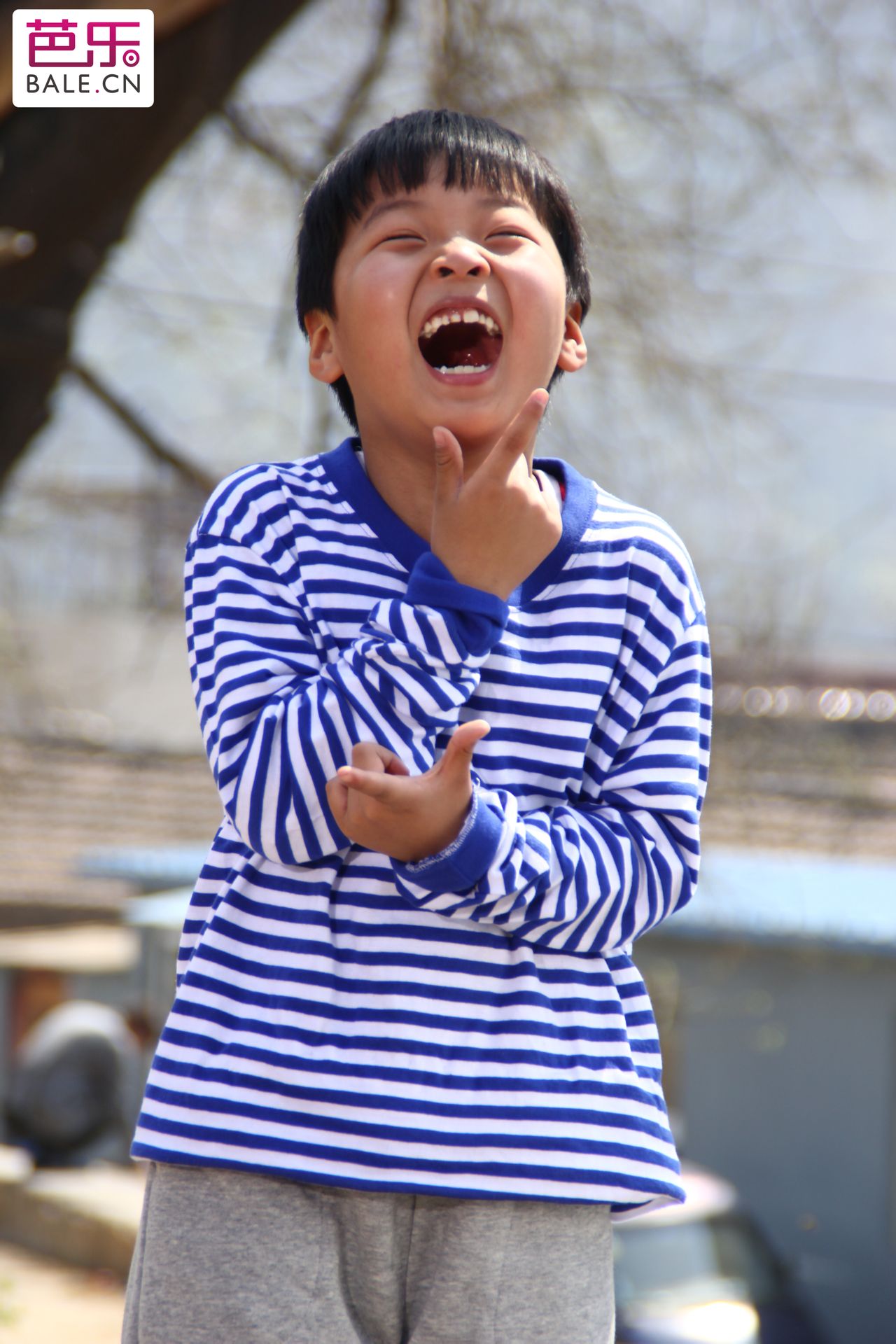 http://www.mshishang.net/pics/default/download/a4395291671701f3460f8589ecfdb64c.jpg