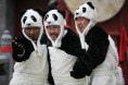 http://www.mshishang.net/pics/default/download/a7370b3d4ac88727630152c8f51f2879.jpg