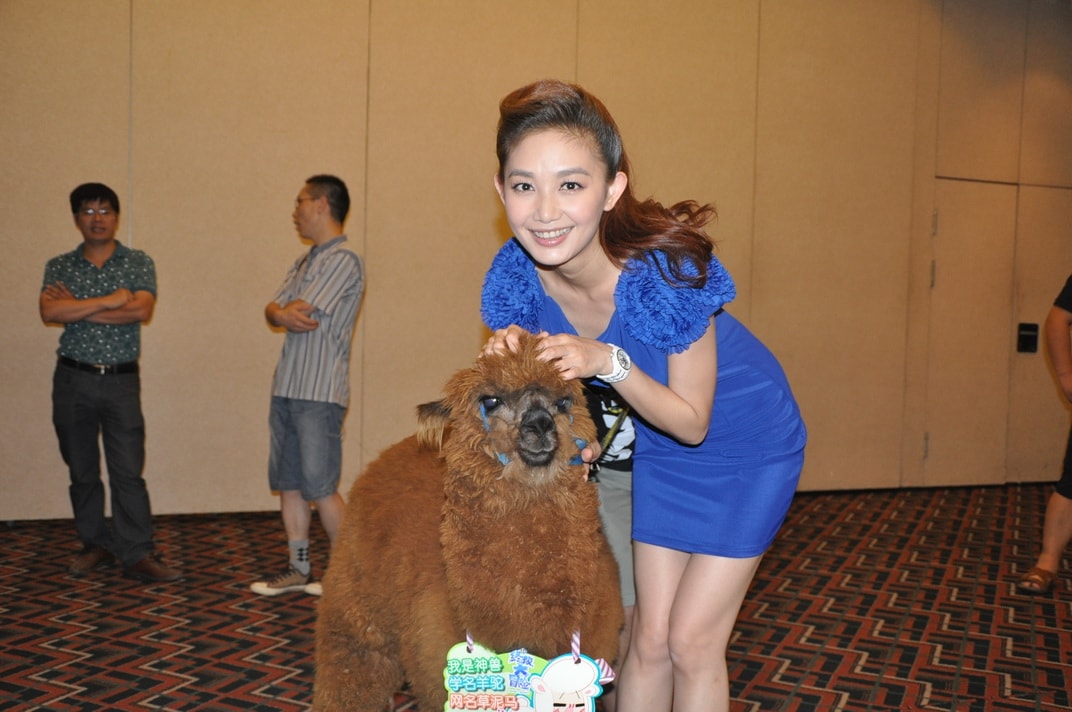 http://www.mshishang.net/pics/default/download/a76418232cd4109950993dc8a1d6855a.jpg