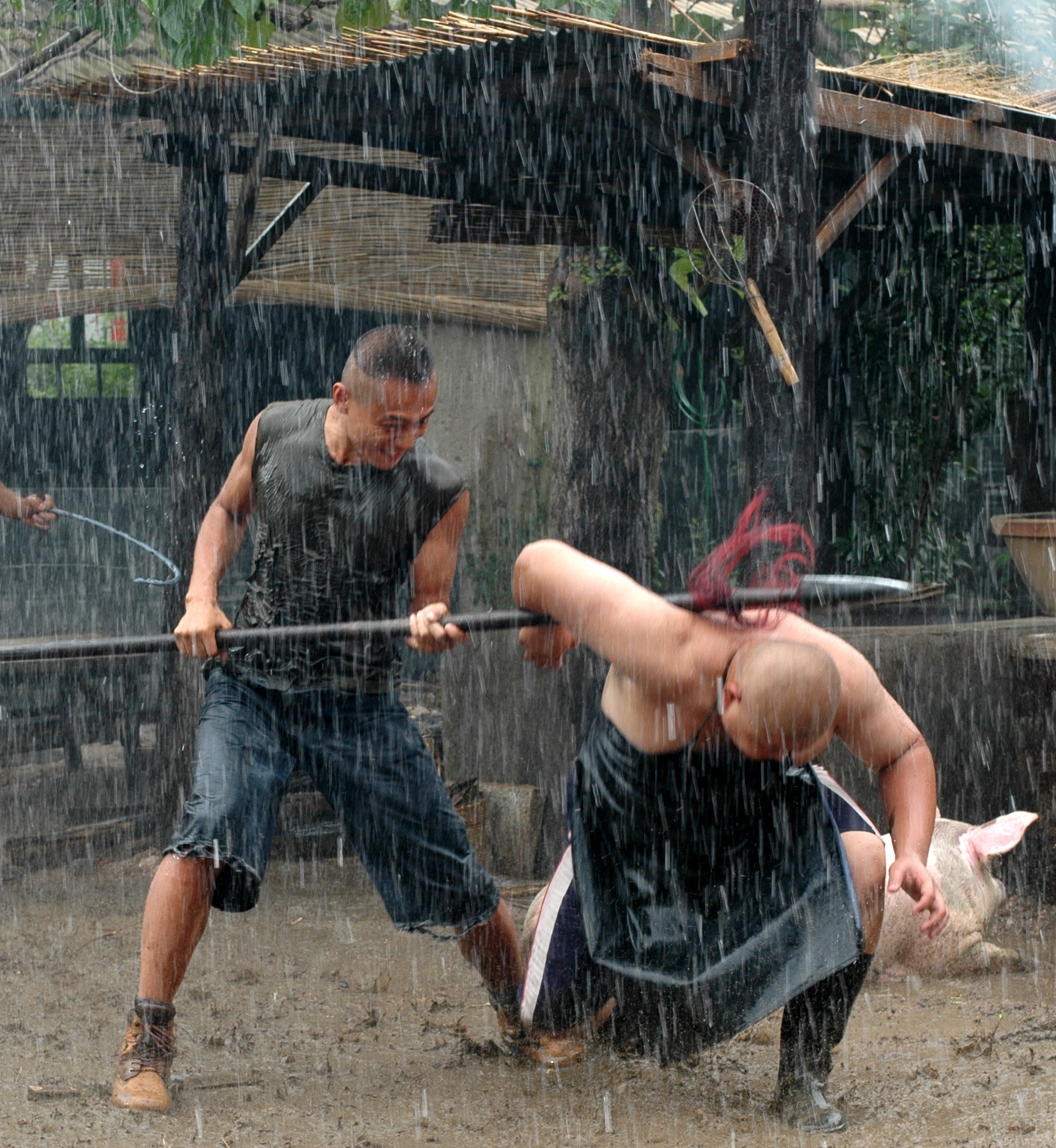 http://www.mshishang.net/pics/default/download/a78a9a3df3cdb6d31a7adda122ac1b32.jpg