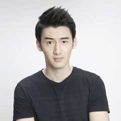 陈鹏万里