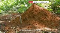 广东卫视《寻你到天涯》全国首轮独播