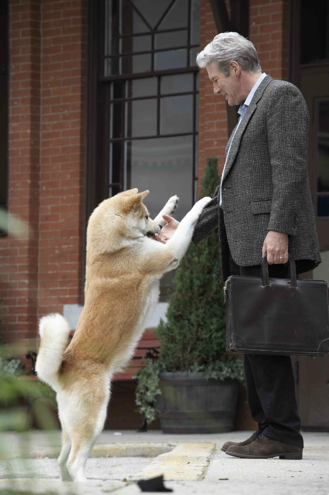 http://www.mshishang.net/pics/default/download/aaecbb79e24463570fe20227bd88b18d.jpg