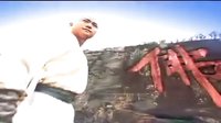 少林武王