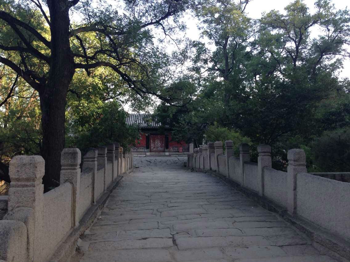 http://www.mshishang.net/pics/default/download/ae200ba491cb29a9edc2f5b8d2bc8169.jpg