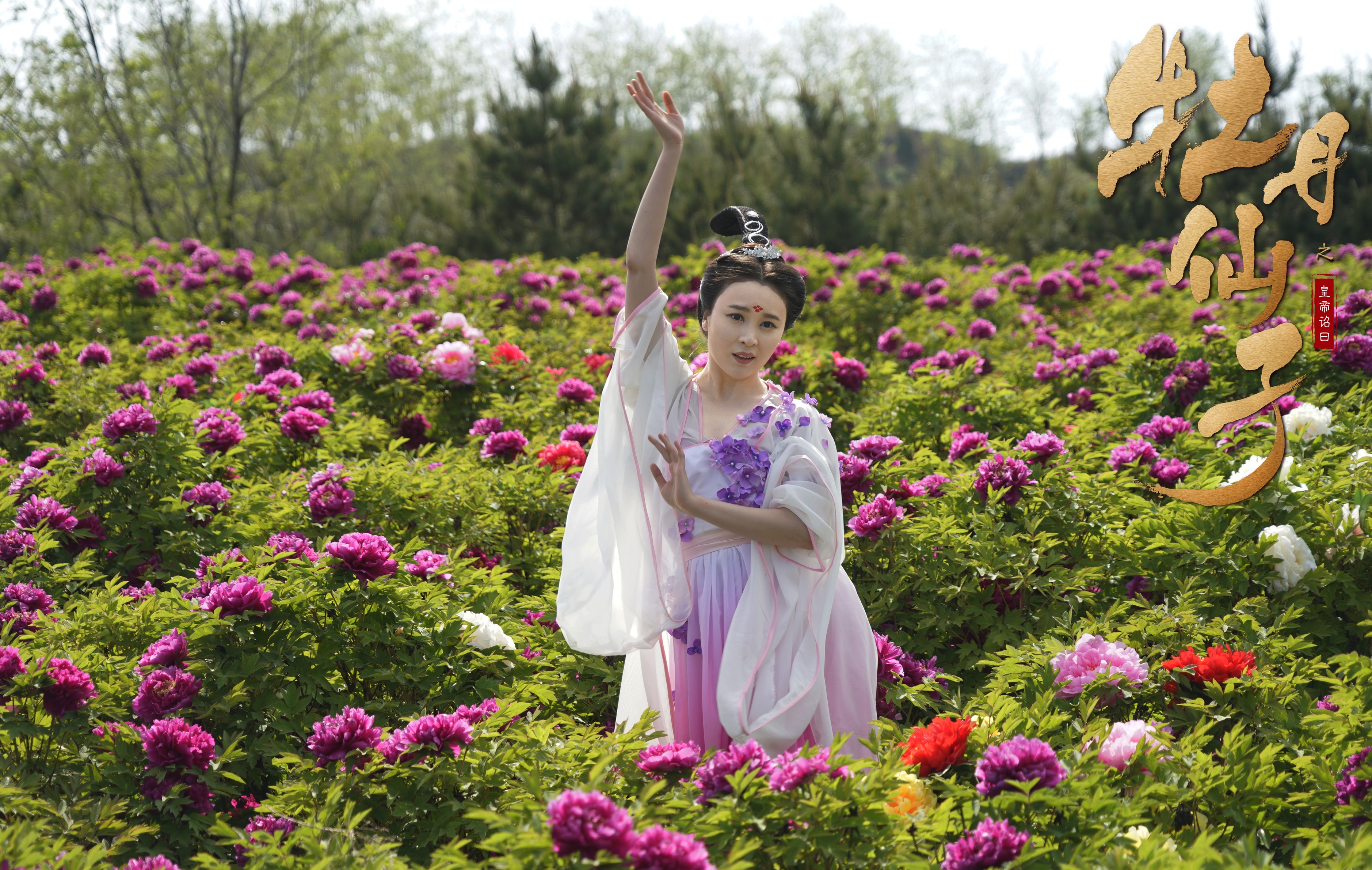http://www.mshishang.net/pics/default/download/af6bb55262169c1f90ea4abf77ffb792.jpg